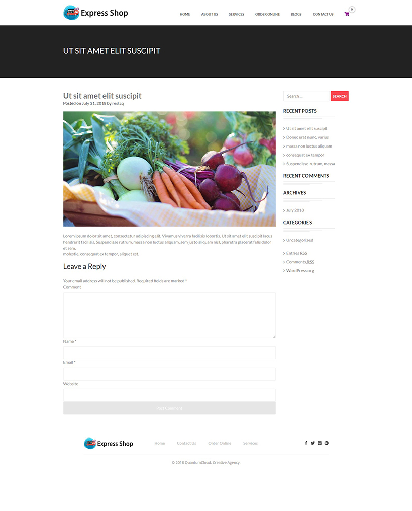 express-shop-theme-blog-single